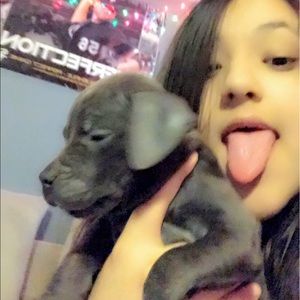 Meet your Posher, Perla